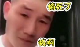 金猪和嘎子爆料视频,娱乐圈幕后真相大曝光
