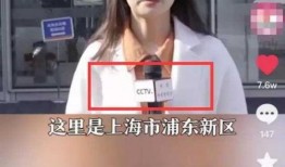 张庭前员工爆料视频大全,揭开神秘企业内幕