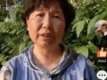最新爆料田静直播,揭秘娱乐圈幕后真相