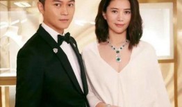 娱乐圈吃瓜爆料csc,CSC事件背后的真相与内幕