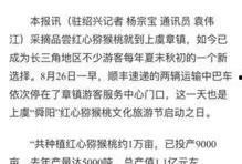 杭州日报热点爆料新闻视频,热点爆料新闻视频背后的真相