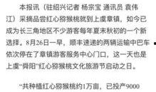 杭州日报热点爆料新闻视频,热点爆料新闻视频背后的真相