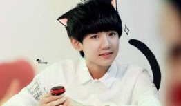 狗仔爆料王源网红视频,狗仔爆料背后的故事