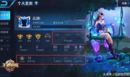 王者世界全部爆料视频,揭秘游戏背后精彩爆料，带你领略传奇风采