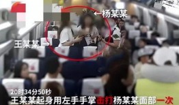 网友爆料泰安事件视频完整版,网友爆料揭示惊人真相