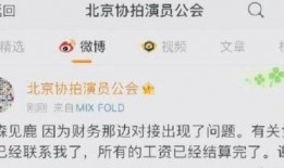 林深有鹿有哪些最新爆料,独家揭秘明星幕后故事与最新动态