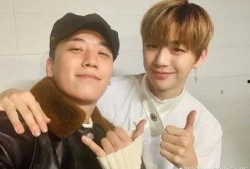 吃瓜网红事件兄妹结局,真相大白，结局感人至深