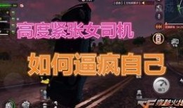 最新核心体验服爆料,揭秘未来游戏版本核心玩法与特色