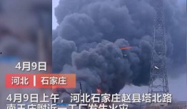 永州媒体爆料事件视频最新,真相与争议交织