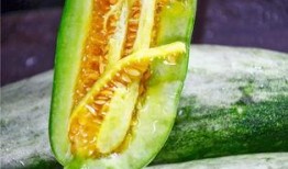 各类网红吃瓜,盘点娱乐圈那些鲜为人知的幕后故事