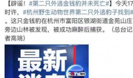 三峡银行爆料事件视频最新,揭秘背后惊人真相