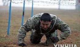 美国陆战队员爆料视频,揭秘真实战场幕后