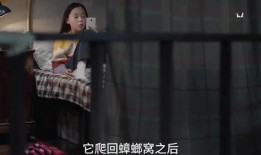 对镜爆料小孩被打视频