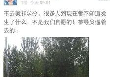 河北美院爆料视频最新,真相令人震惊！