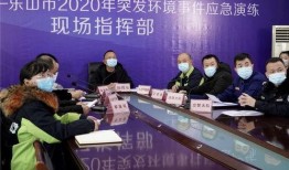 乐山杨川爆料事件视频,真相与争议的交织