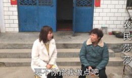 农民莎莎最新爆料,农民生活现状与农业发展新动向