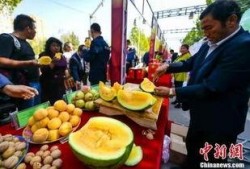 金乡吃瓜最新事件爆料,揭秘背后惊人真相！